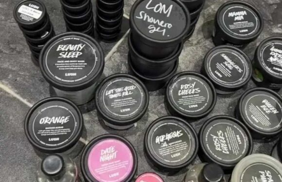 I'm a huge Lush fan – here's the little-known hack to get a discount on your shopping…and it really couldn't be easier | The Sun