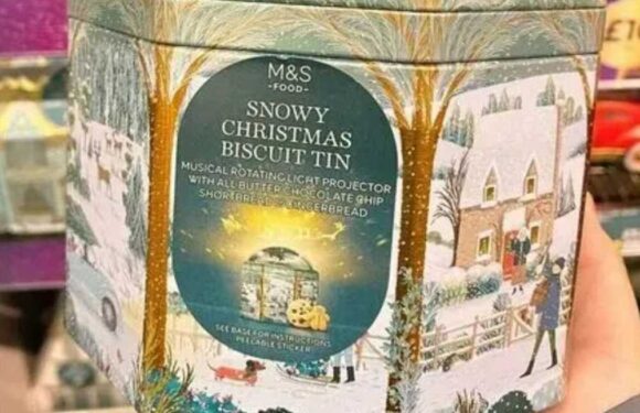 I'm a huge M&S fan – the 8 buys everyone needs, including the bargain light up biscuit tin that's fab for Christmas | The Sun