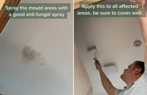 I'm an interior fiend – here's my three-step method to banish mould for GOOD & make sure it never comes back | The Sun