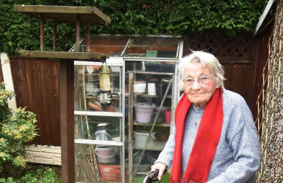 I've been threatened by 'bully' council for feeding birds in my OWN garden after my moaning neighbours complained | The Sun