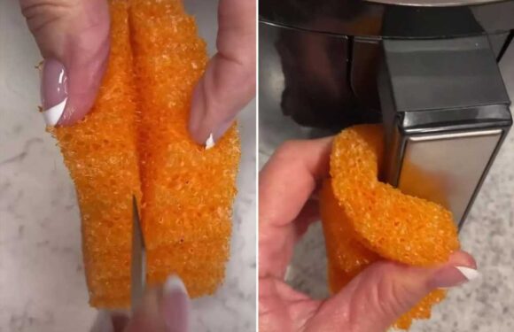 I've figured out a way to make my Scrub Daddy last longer – it even makes it a more effective cleaner too | The Sun