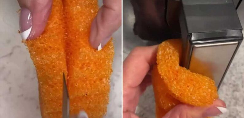 I've figured out a way to make my Scrub Daddy last longer – it even makes it a more effective cleaner too | The Sun