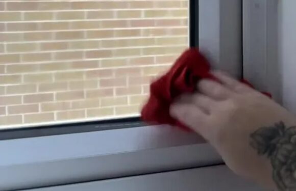I've found the best 99p trick to help get rid of condensation this winter – and it works in seconds | The Sun