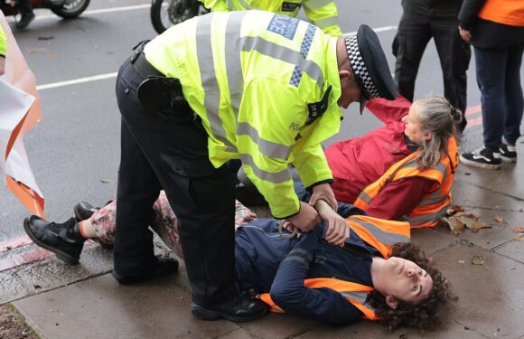 JSO bring London to standstill again with slow march as Met arrest 35