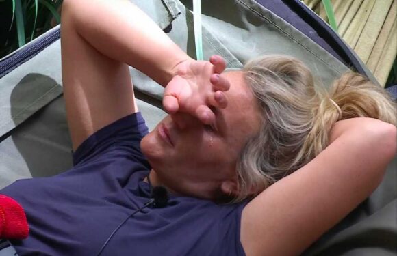 Jamie Lynn Spears ‘went from child star to sl*t’ when she fell pregnant at 16 – before trying to ‘divorce parents’ | The Sun