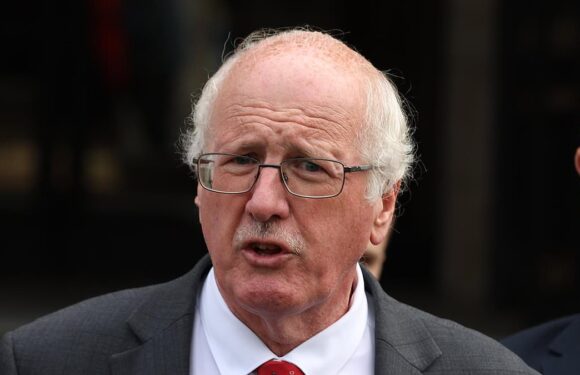 Jim Shannon says grey squirrels are the 'Hamas of the squirrel world'