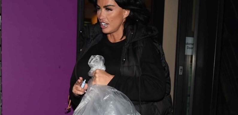 Katie Price carries huge bag in front of her stomach after sparking pregnancy rumours | The Sun