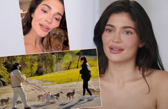 Kylie Jenner DRAGGED For Flaunting 'Dog Nanny' For Her SEVEN Dogs!