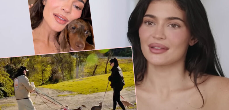 Kylie Jenner DRAGGED For Flaunting 'Dog Nanny' For Her SEVEN Dogs!