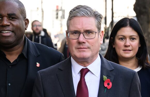 Labour frontbencher quits over Starmer refusal to urge Gaza ceasefire