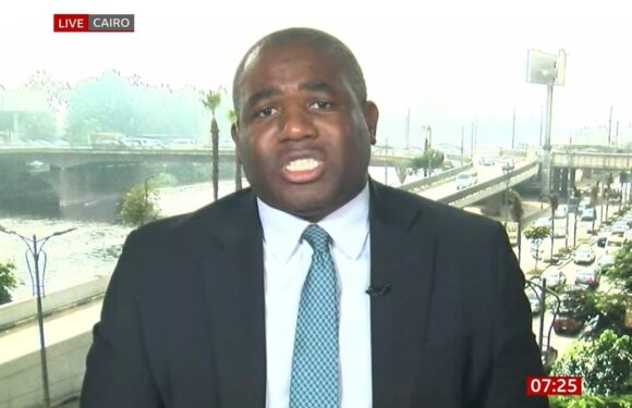 Lammy: Labour frontbenchers backing Gaza ceasefire can keep jobs
