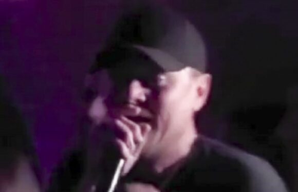 Leonardo DiCaprio RAPS in front of A-list crowd at LA birthday party