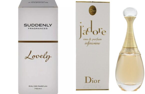 Lidl is selling £5 designer perfume dupes including Chloé and Dior replicas that make great stocking fillers | The Sun