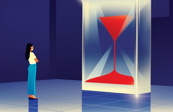 Liz Jones's Diary: In which I'm still striving for perfection