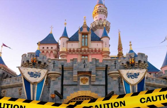 Man Dies After Jumping From Disneyland Parking Structure