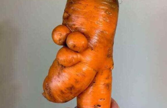 Man is stunned by discovery of veg that looks like Homer Simpson