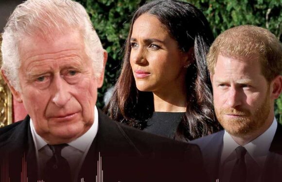 Meghan Markle & Prince Harry Accused of Leaking King Charles Phone Call