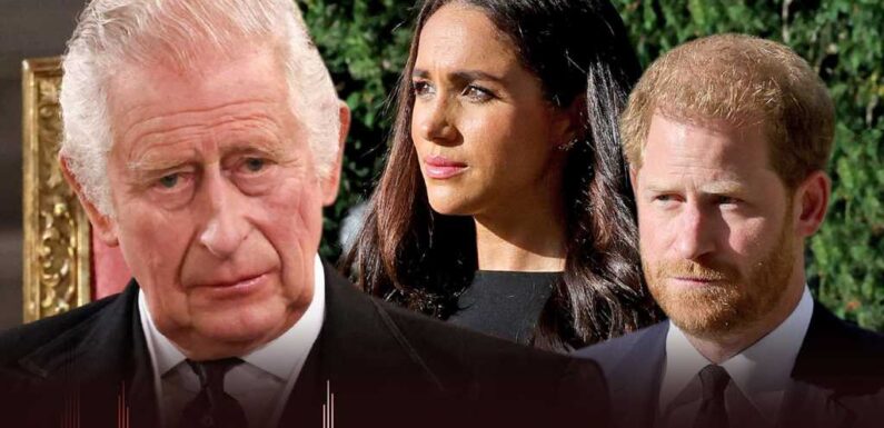 Meghan Markle & Prince Harry Accused of Leaking King Charles Phone Call