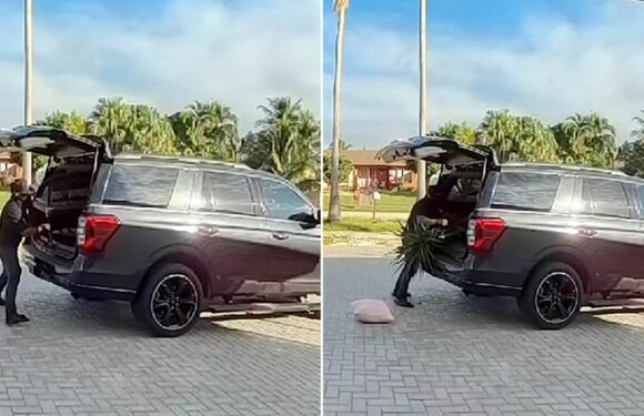 Miami thief steals patio furniture and even a PLANT in broad daylight