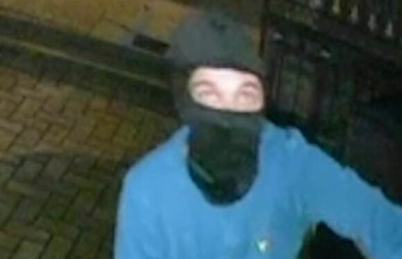 Moment masked arsonist torches three cars outside a home