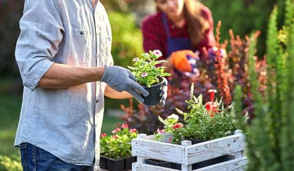More than 30,000 gardeners are on allotment waiting lists in London