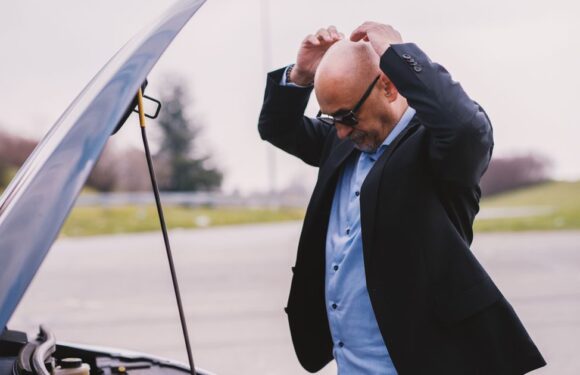 Motorists urged to check cars to avoid £5k fines in winter wildlife mishap