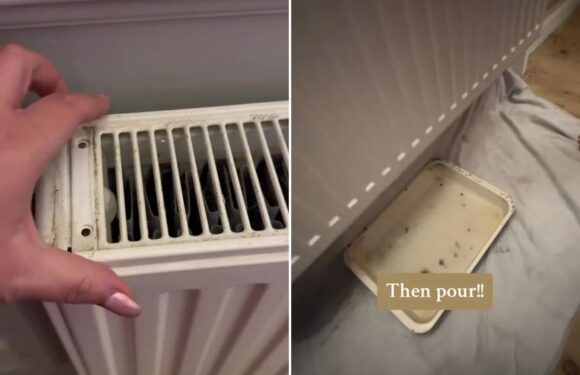 My home smells like a Jo Malone candle thanks to a simple cleaning hack that uses 20p product from M&S | The Sun