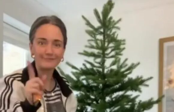 My secret ‘zigzag’ hack to put the Christmas tree up in super quick time – it’s so good I whacked mine up on November 1 | The Sun