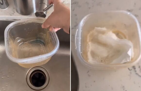 My two-part method to clean Tuppaware – it’s SO cheap and means you won’t have to bung them in the bin again | The Sun