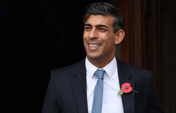 NADINE DORRIES: The shadowy group 'are scheming against Rishi Sunak'