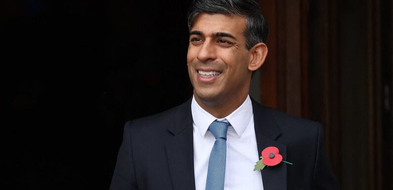 NADINE DORRIES: The shadowy group 'are scheming against Rishi Sunak'