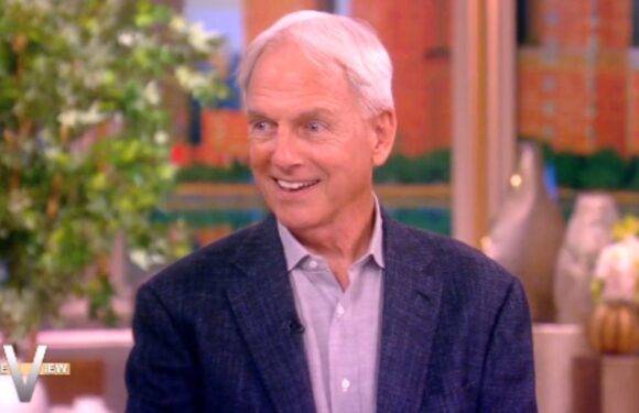 NCIS’ Mark Harmon addresses return to iconic role and reunion with huge star