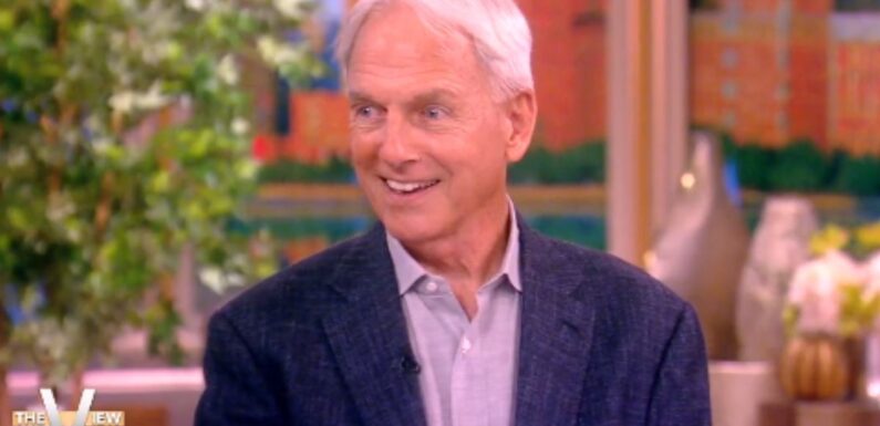 NCIS’ Mark Harmon addresses return to iconic role and reunion with huge star