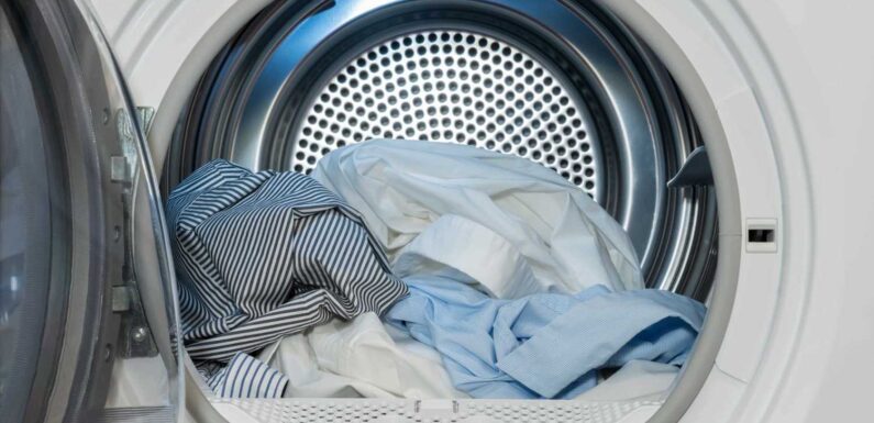 Never use your tumble dryer again thanks to sneaky washing machine button people ALWAYS ignore – it'll save you £100s | The Sun