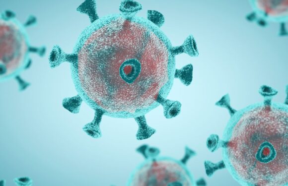 New ‘evasive’ mystery coronavirus strain found – and it’s already in the UK