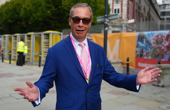 Nigel Farage is a huge Celebrity on TikTok? Get out of here!