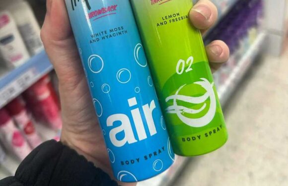 Noughties beauty brand brings back iconic £2 body sprays after huge shopper demand – and you're going to feel SO old | The Sun