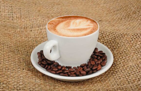 One in four Brits have 'no idea' where their coffee comes from, study finds – and reveals how we choose our morning brew | The Sun