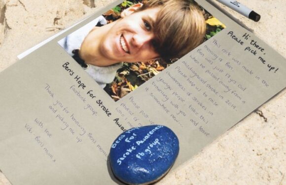 One rock, 15,000 kilometres: How a boy’s memory inspired a once-in-a-lifetime trip