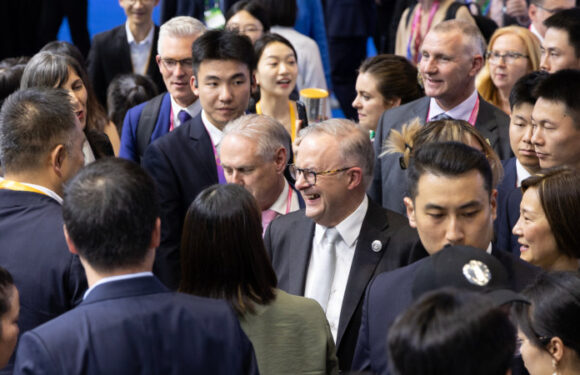 Pandas, red wine and human rights: Albanese’s tightrope tour of China