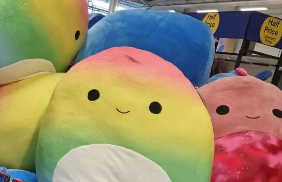 Parents race to Tesco to nab large Squishmallows that have been slashed in the Black Friday sale – but there’s a catch | The Sun