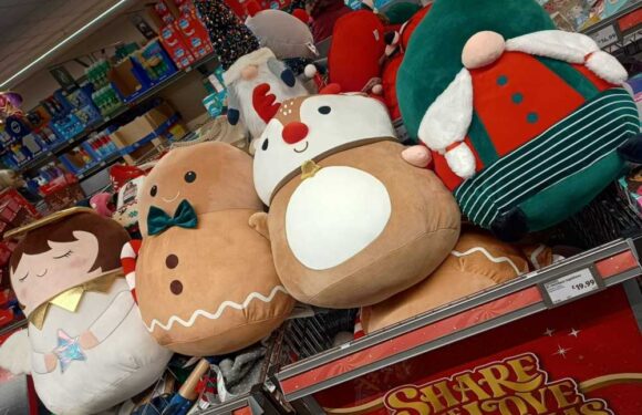 Parents scramble to nab Aldi’s new Squishees – if your little one loves Squishmallows you'll need to run | The Sun