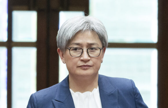 Penny Wong rebukes Chinese diplomat over sonar pulses