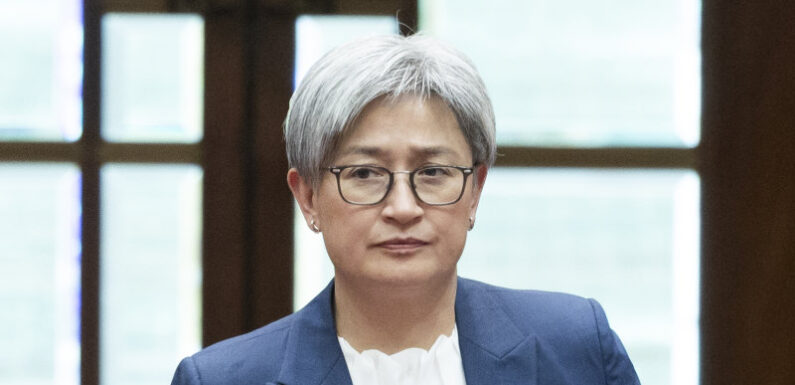 Penny Wong rebukes Chinese diplomat over sonar pulses