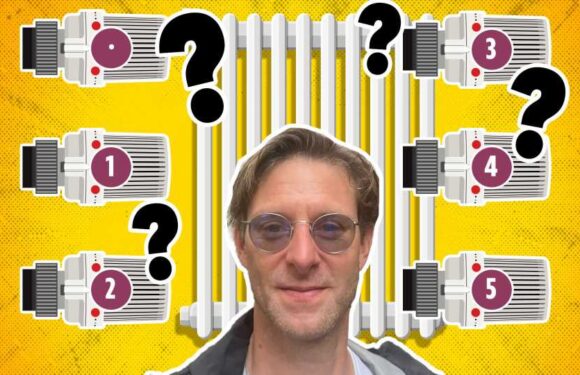 People are only just realising what the numbers on radiator knobs mean – but my tips can HALVE your gas bill | The Sun