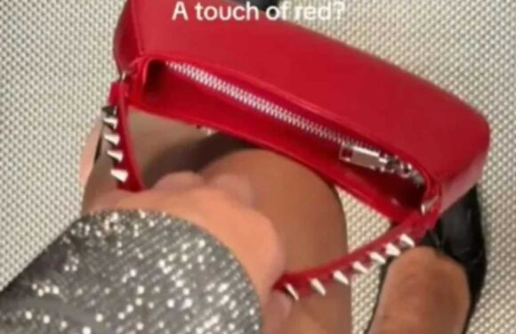 People rushing to buy 'amazing' Christmas outfit at popular high street store as fans 'in love' | The Sun