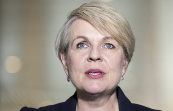 Plibersek’s last gasp effort to stop Murray Darling plan from sinking