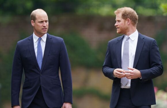 Prince William and Prince Harrys relationship is beyond repair says royal writer