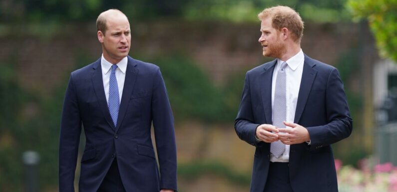 Prince William and Prince Harrys relationship is beyond repair says royal writer