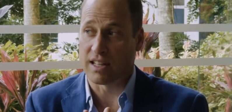 Prince William shows his playful side during quickfire interview round